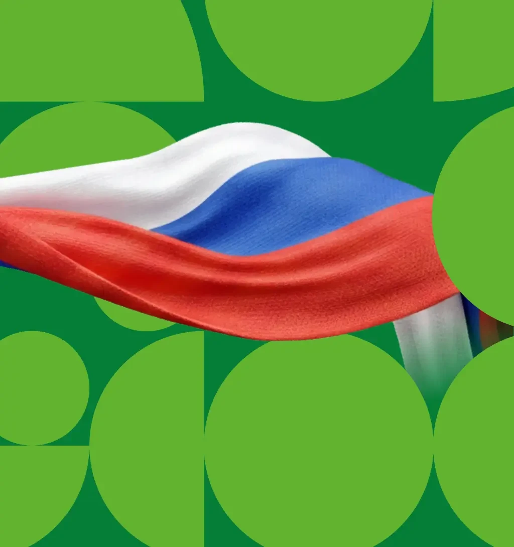 Можно ли оплатить штрафы и государственные услуги по СБП?